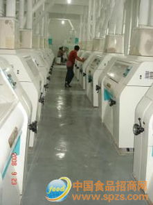 多种标粉采购代理服务全解析